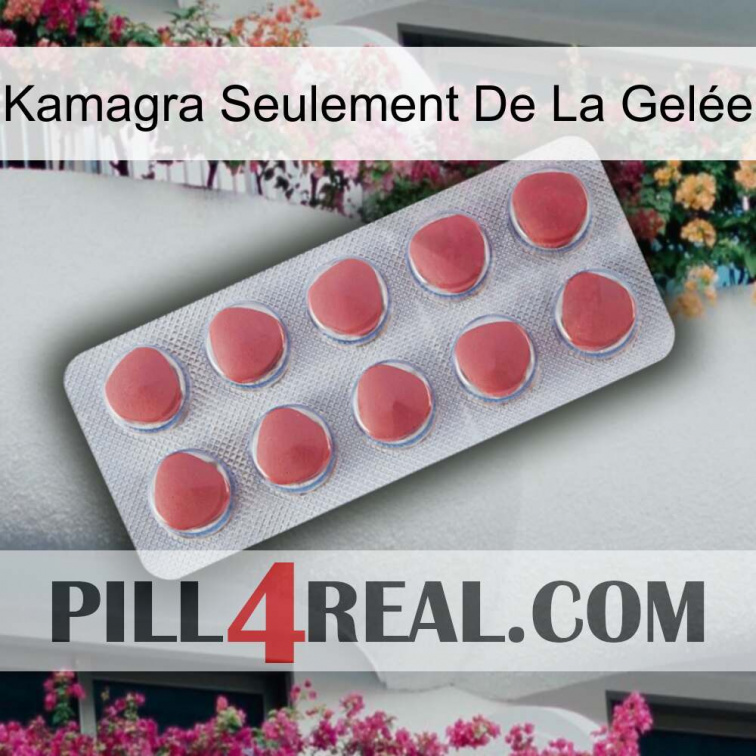 Kamagra Seulement De La Gelée 18